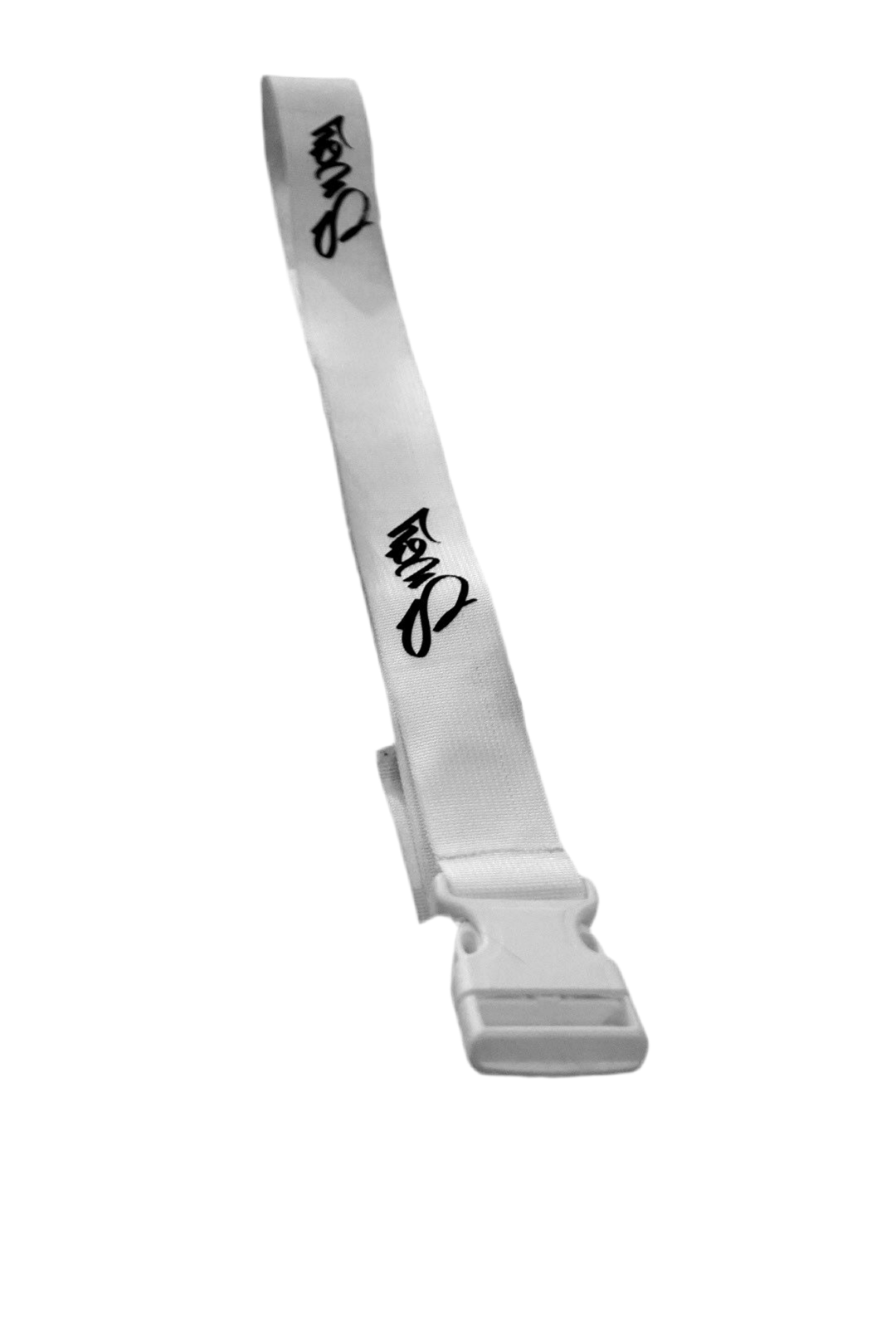 Swgy White Belt 1.0